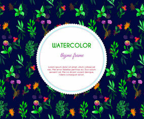 Dark Watercolor Thyme Flowers Vector