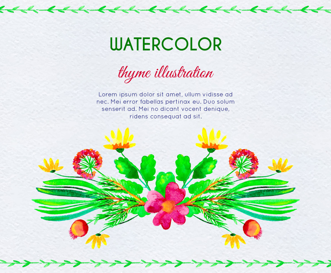 Watercolor Invitation With Thyme Flowers And Leaves