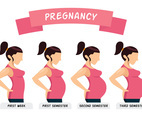 Pregnancy Illustration
