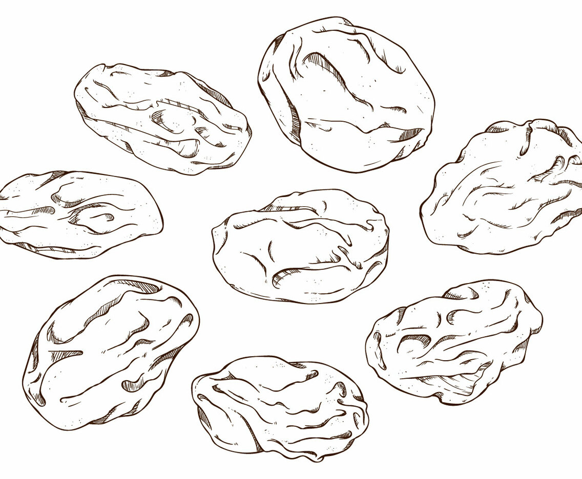 Free Raisins Vector Illustration