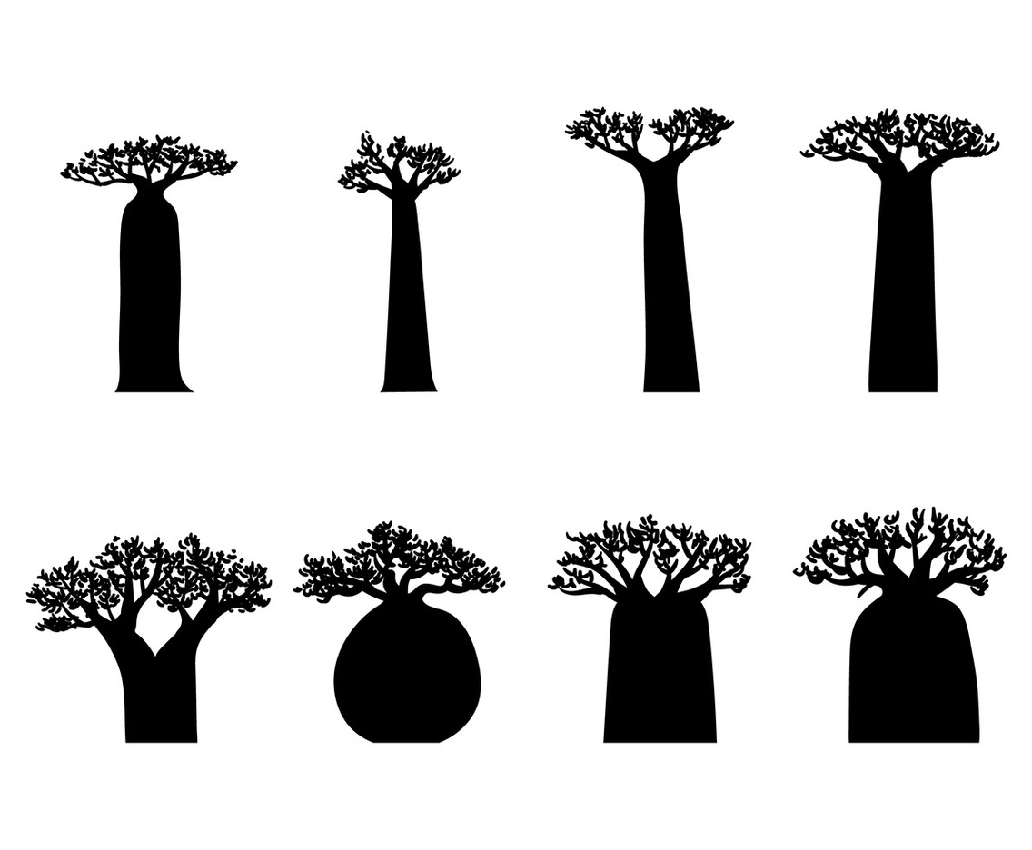 Baobab Silhouette Vector