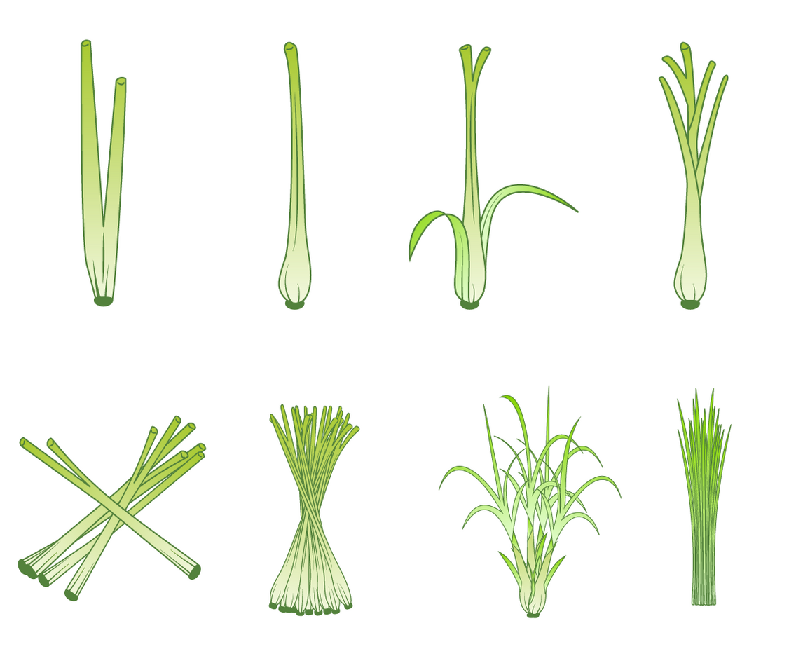 Free lemongrass Vector