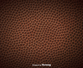 Vector American Football Ball Texture