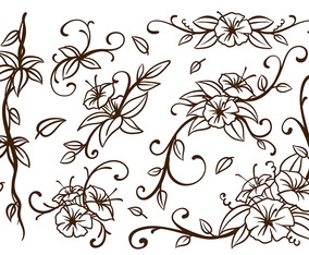 Liana Swirl Flower Vector