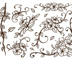 Liana Swirl Flower Vector