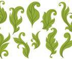 Free Leaves Vectors
