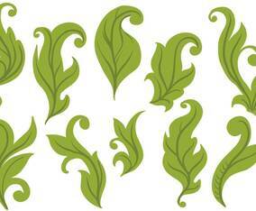 Free Leaves Vectors