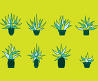 Maguey Flat Vector