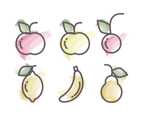 Vector Fruits Illustration