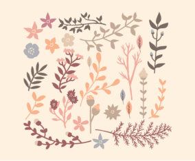Vector Floral Elements