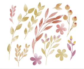 Vector Watercolor Floral Elements