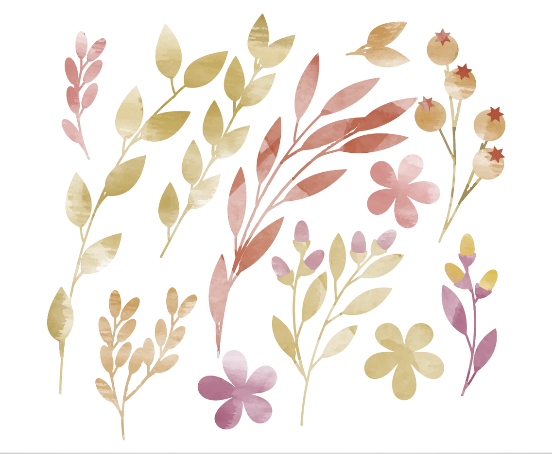 Vector Watercolor Floral Elements