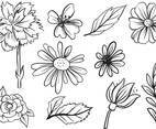 Free Flower Vectors