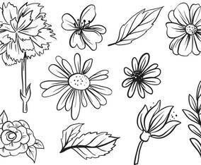 Free Flower Vectors