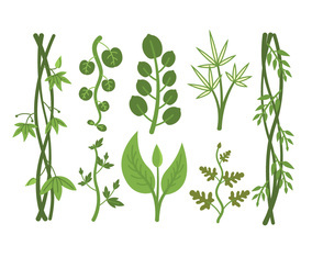 Tropical plant vectors