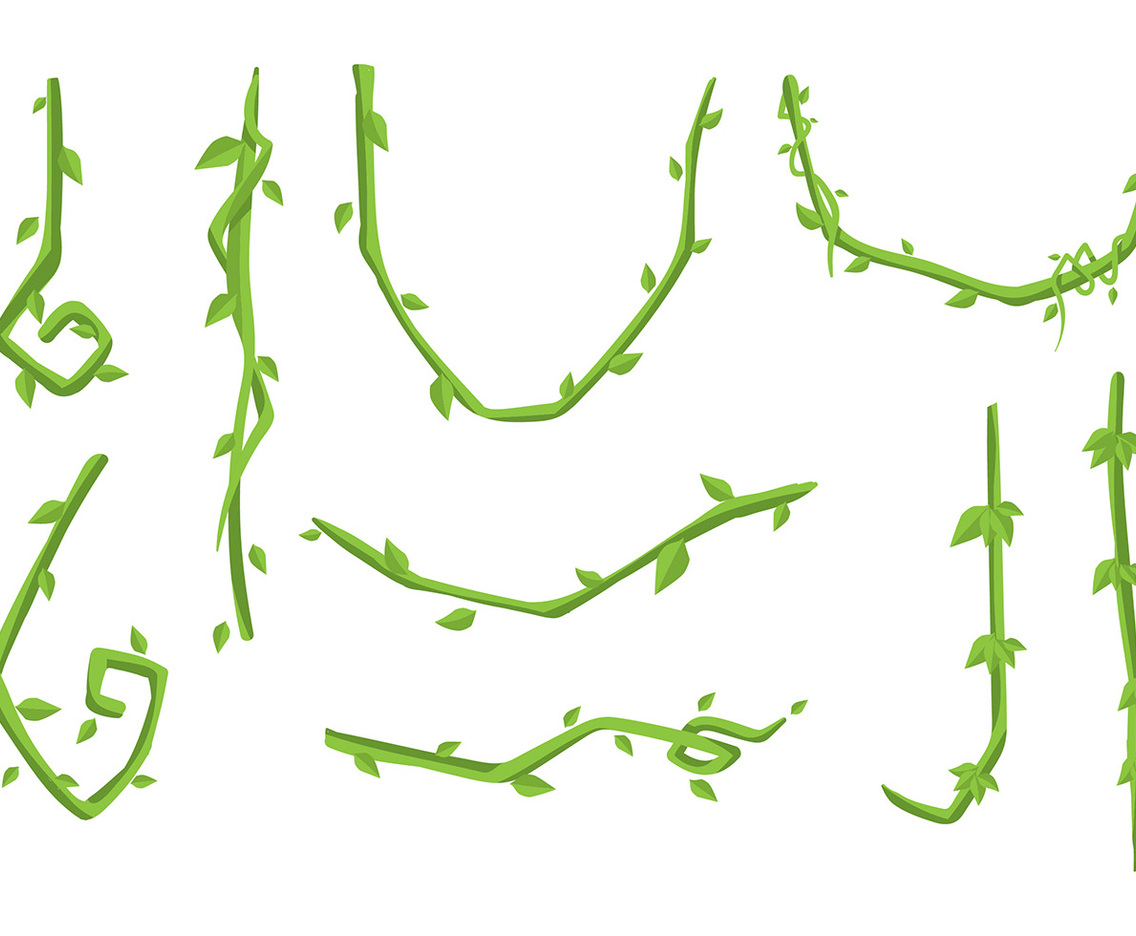 Liana Cartoon Vector