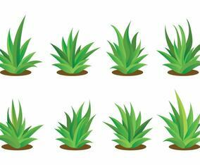 Free Maguey Vector Set