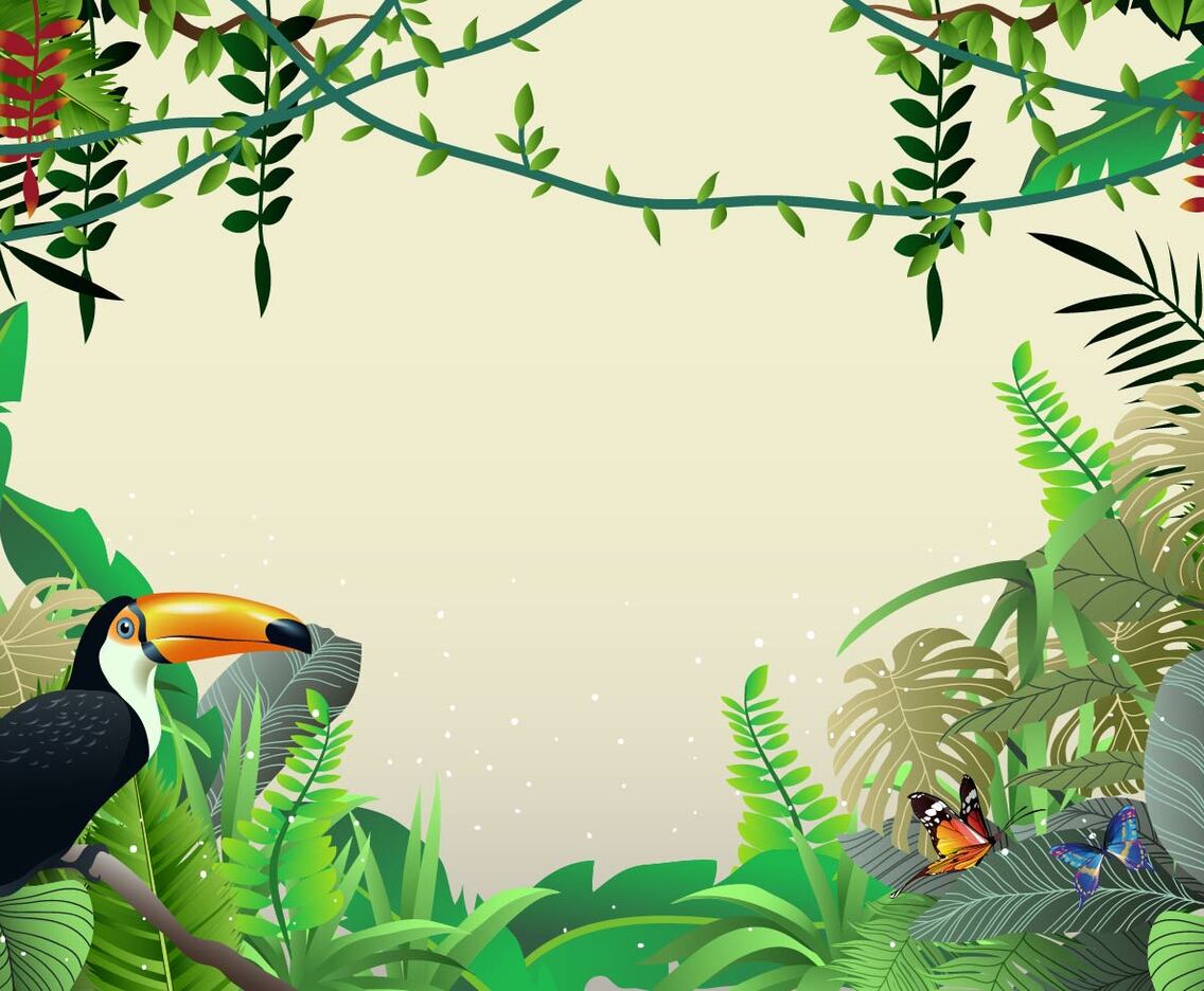 Beautiful Illustrations Of Tropical Jungle And Liana