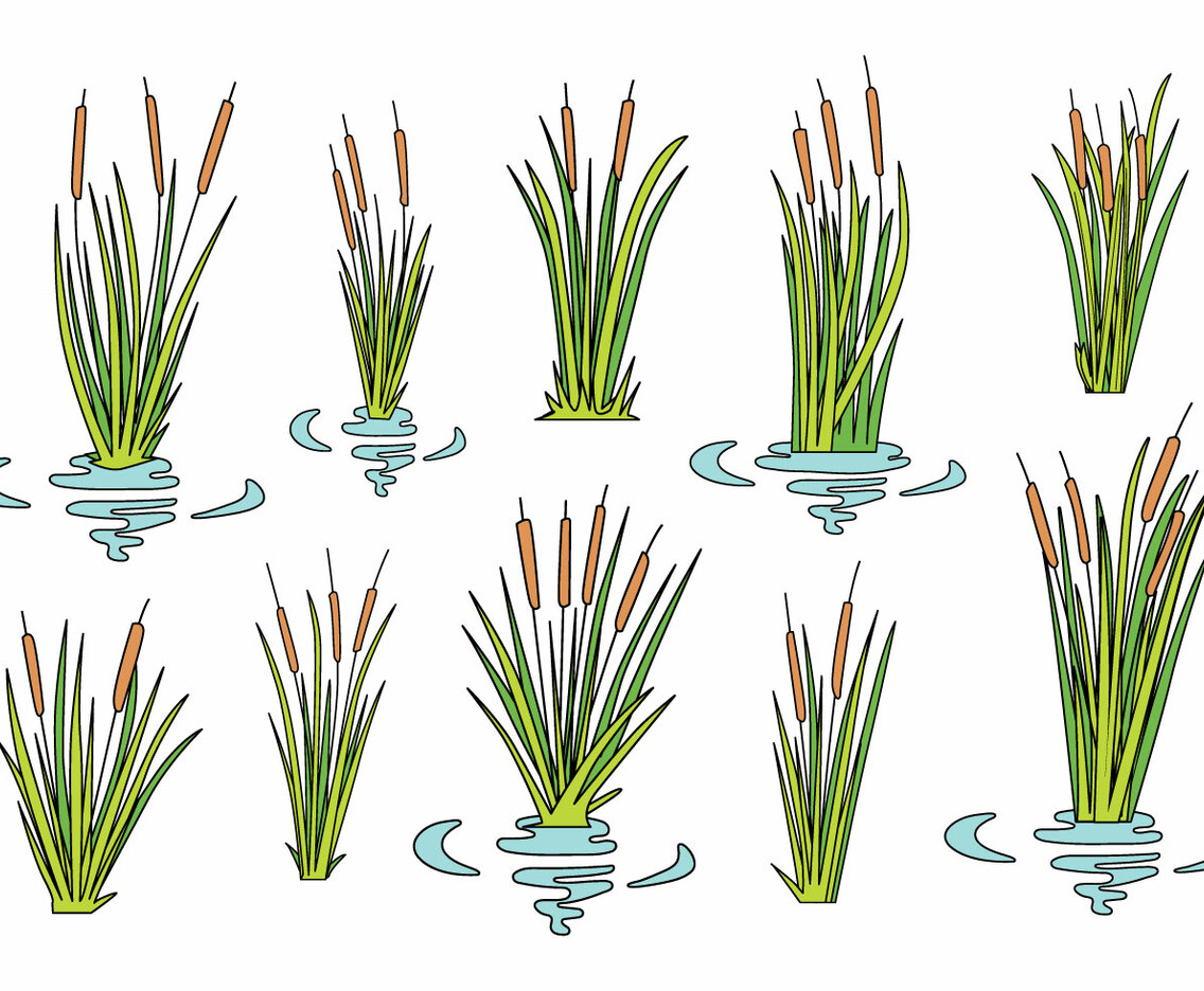 Free Cattails Icons