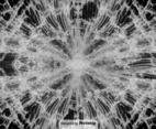 Vector Texture Of Cracked Glass