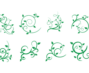 Free Liana, Leaves, Vector Illustration
