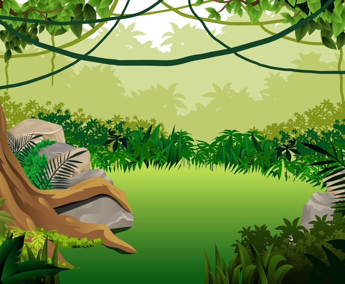 Jungle Landscape With Liana Hanging