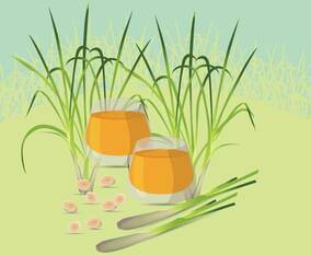 Free Lemongrass Illustration