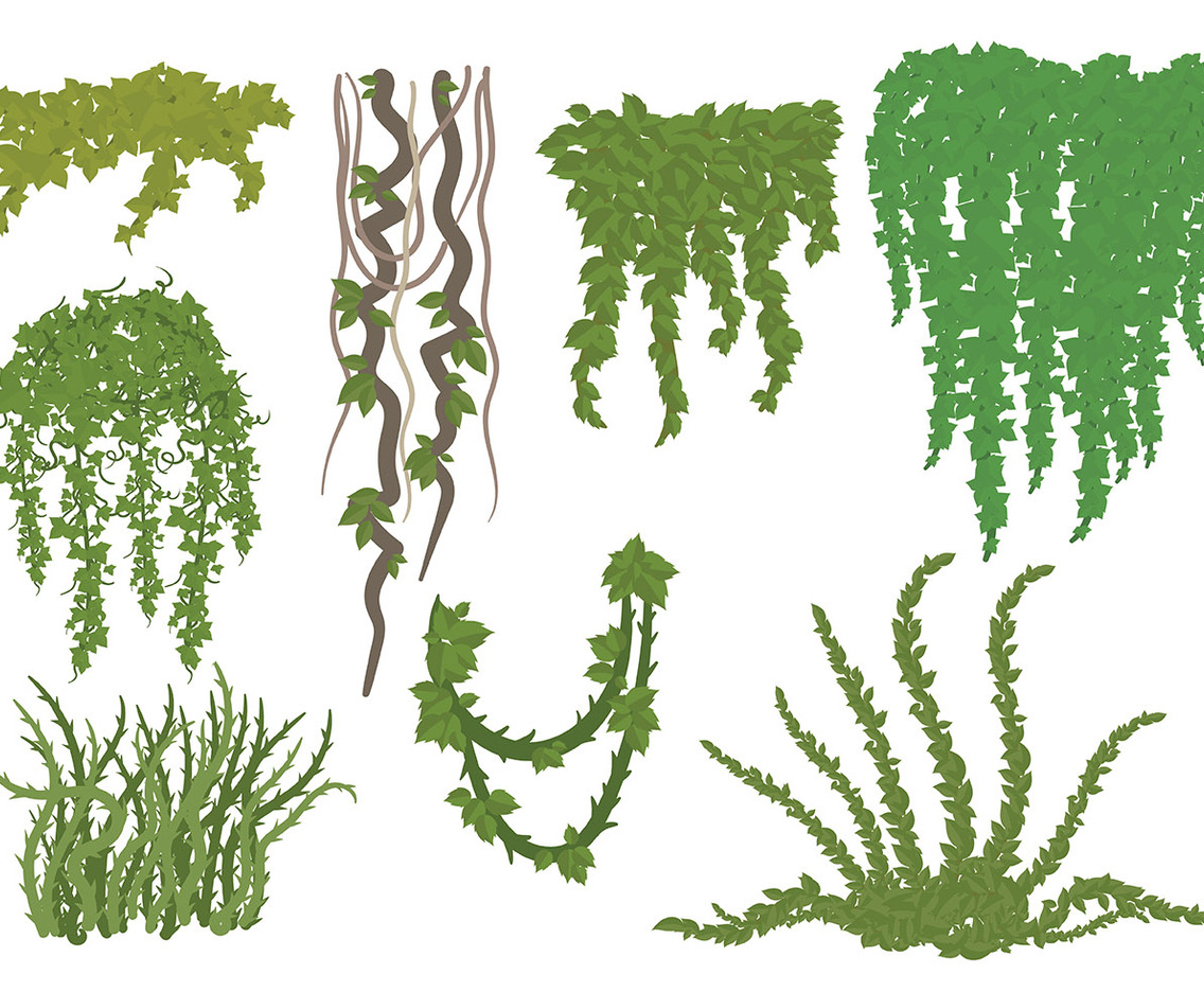 Free Liana Icons Vector