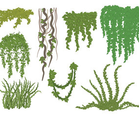 Free Liana Icons Vector