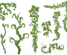 Free Liana Icons Vector