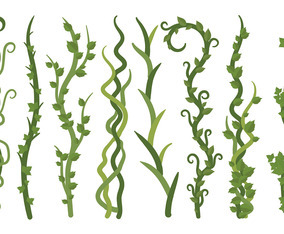 Free Liana Icons Vector