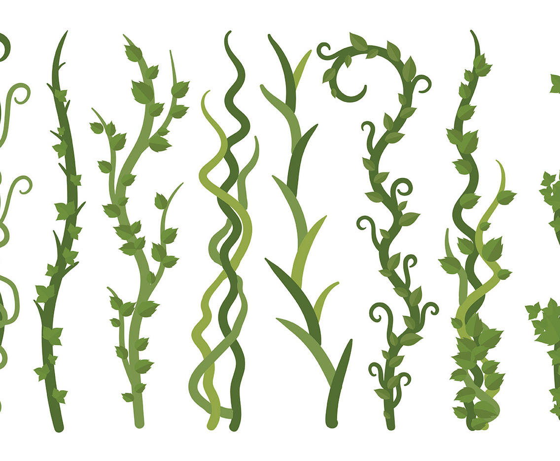 Free Liana Icons Vector