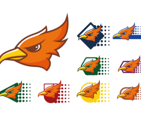 Roadrunner Logo Icons