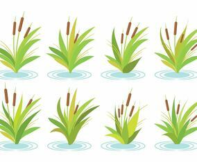 Free Cattails Vector