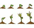 Free Grow Up Plant Vector