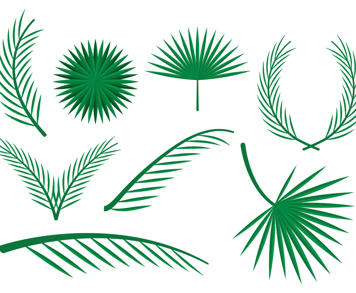 Free Palm Leaves Vector Ornaments
