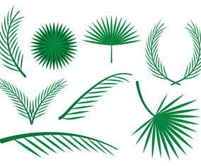 Free Palm Leaves Vector Ornaments