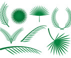 Free Palm Leaves Vector Ornaments