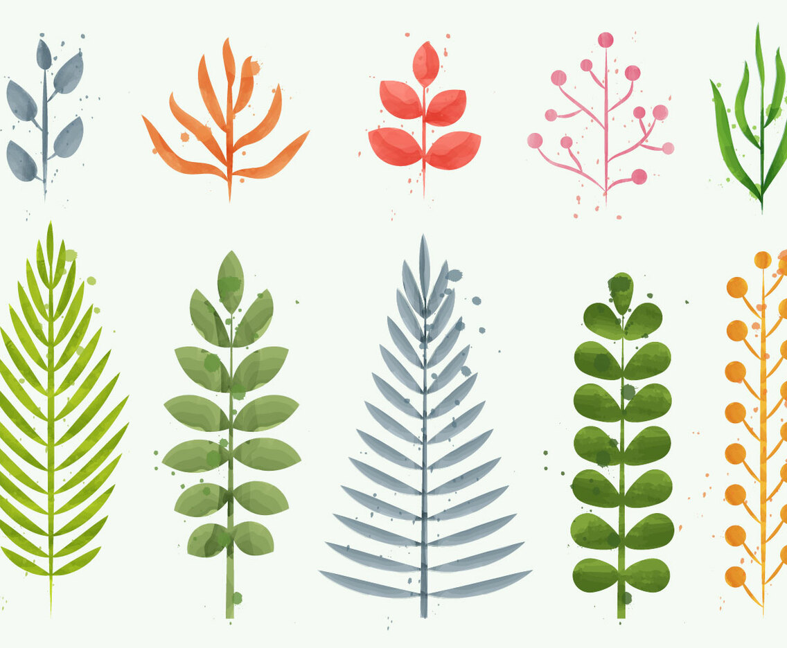Floral Watercolor Plant Vectors