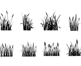 Free Cattails Silhouette Vectors