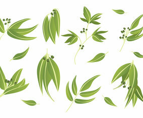 Free Eucalyptus Icons