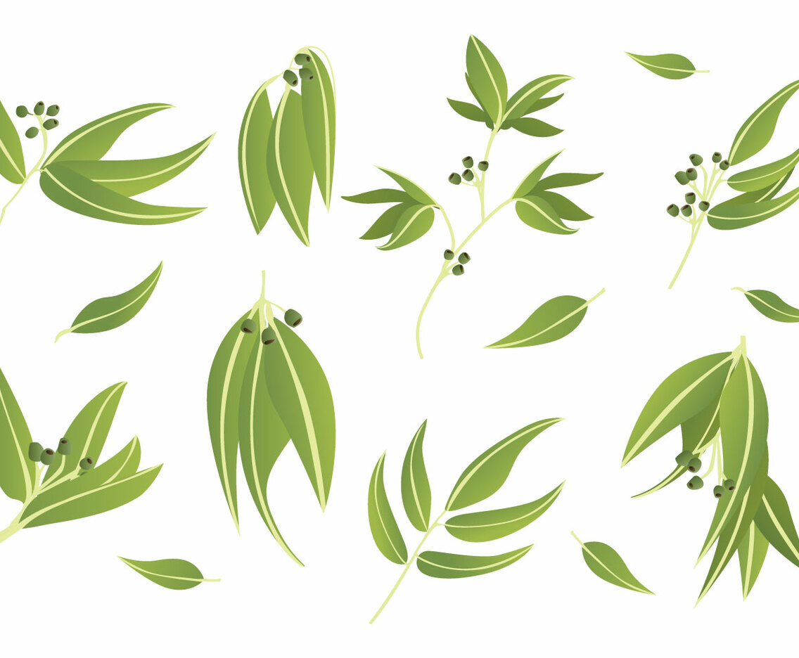 Free Eucalyptus Icons