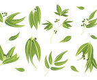 Free Eucalyptus Icons