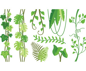 Tropical plants vectors