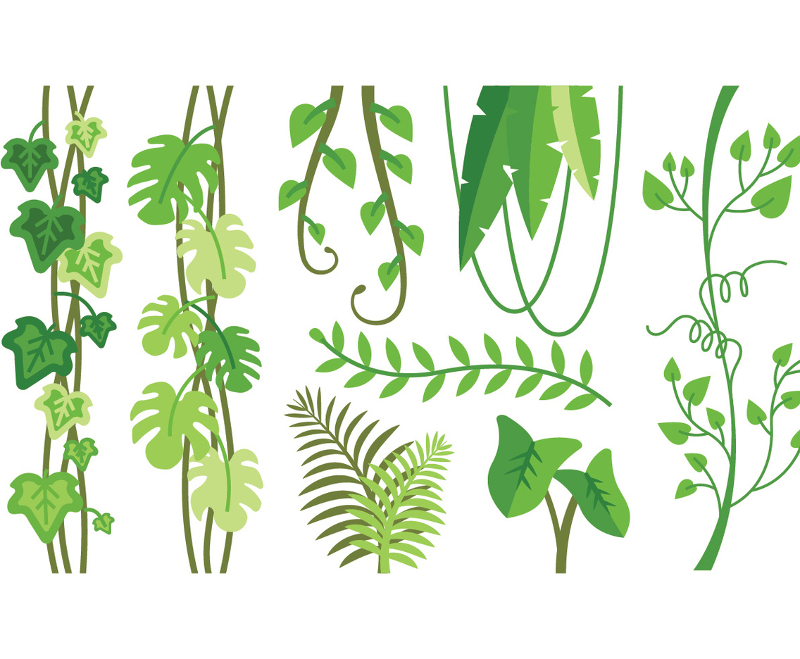 Tropical plants vectors