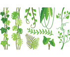 Tropical plants vectors