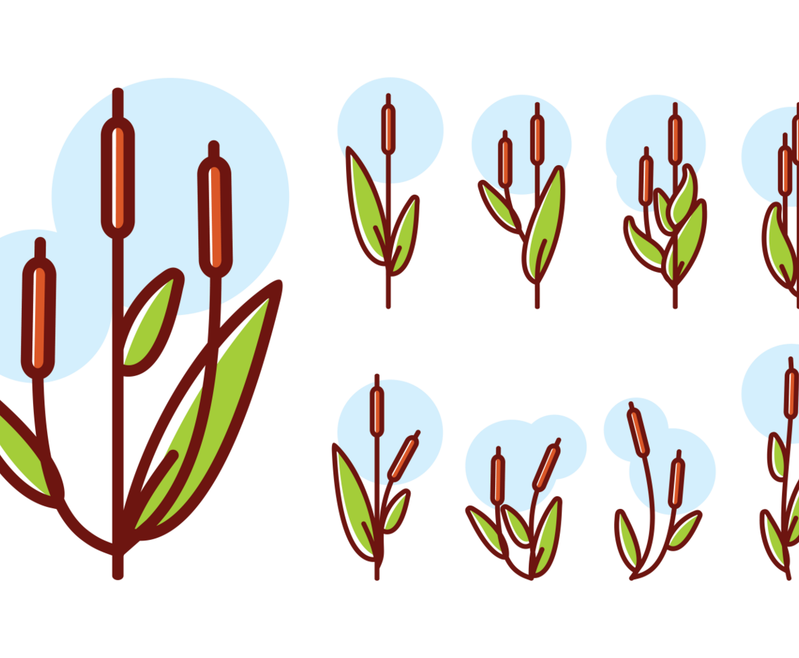 Cattails icons Vector