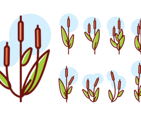 Cattails icons Vector