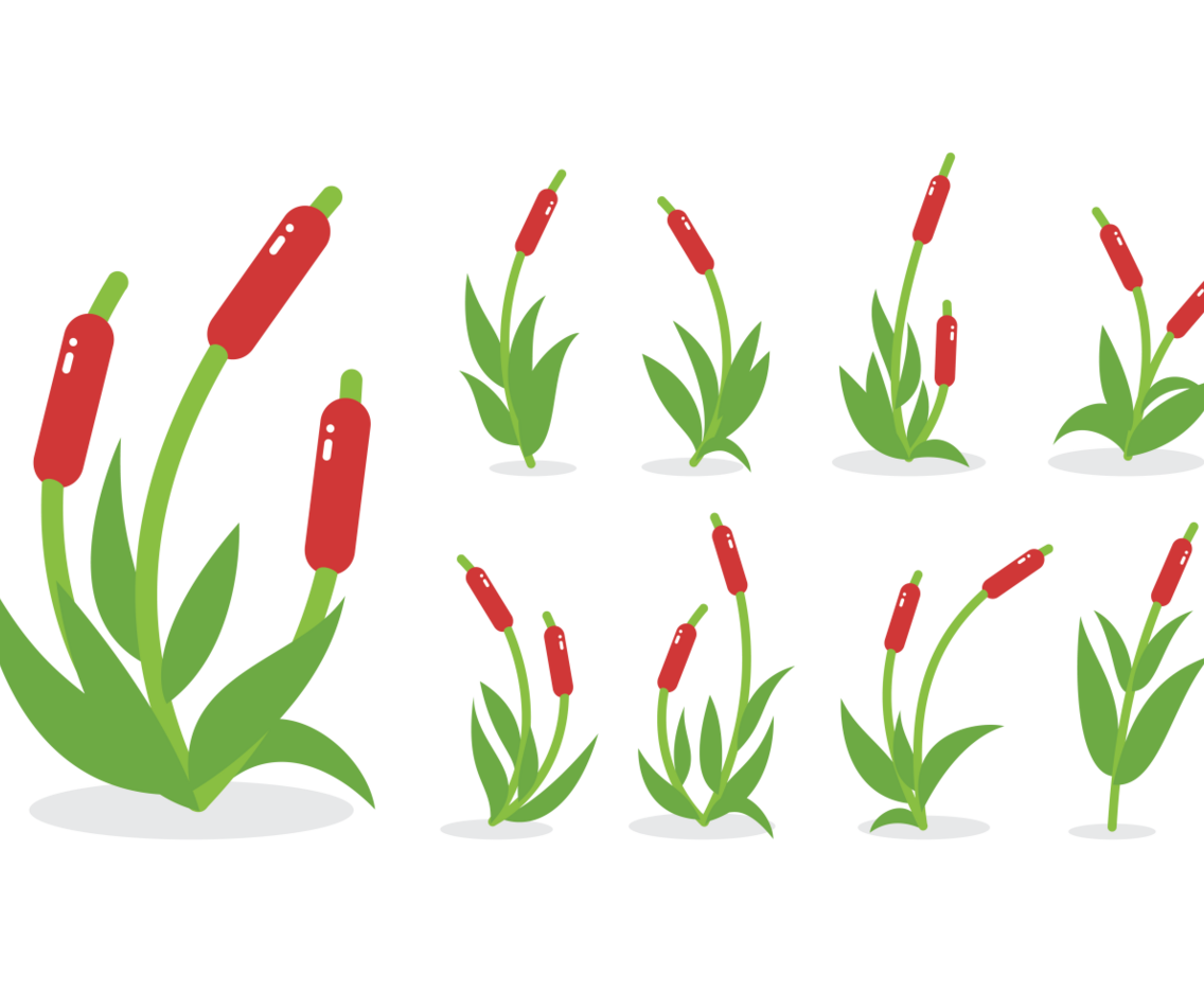 Cattails icons Vector