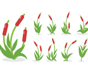 Cattails icons Vector